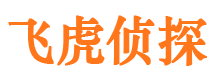 邗江市调查公司